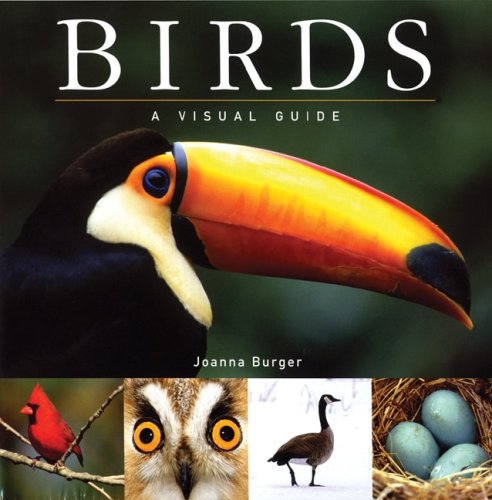 Birds: A Visual Guide (Visual Guides)