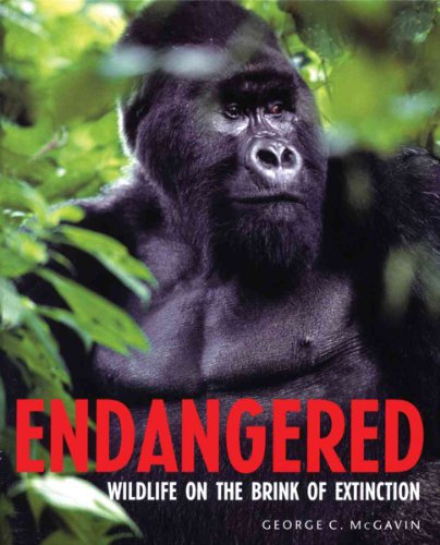 9781554071838: Endangered: Wildlife on the Brink of Extinction