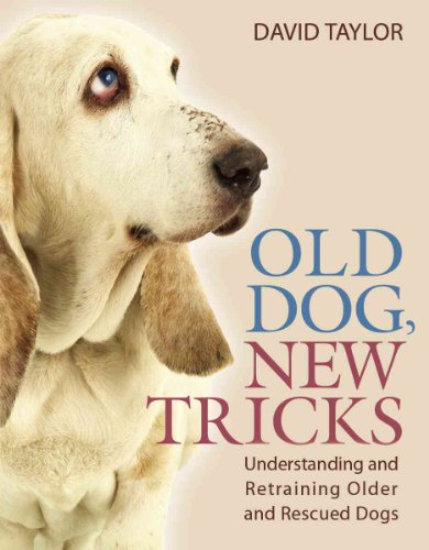 Stock image for Old Dog, New Tricks: Understanding and Retraining Older and Rescued Dogs for sale by Reliant Bookstore