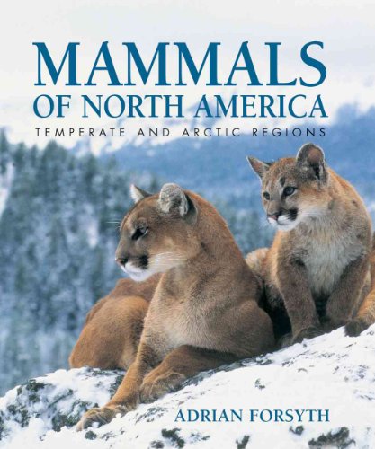 Stock image for Mammals of North America: Temperate and Arctic Regions for sale by HPB-Diamond