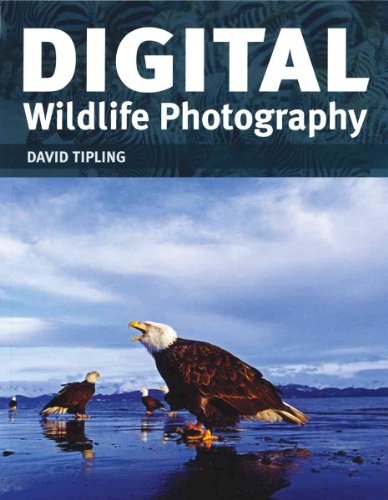 Beispielbild fr Complete Guide to Digital Wildlife Photography zum Verkauf von WorldofBooks