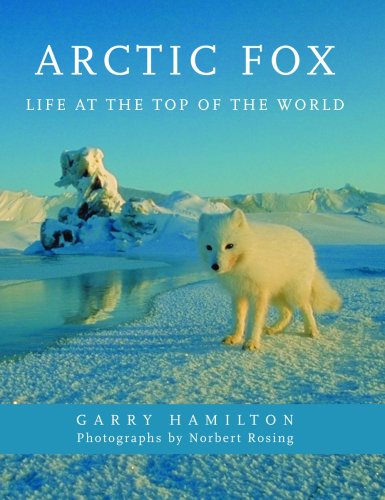 Imagen de archivo de Arctic Fox: Life at the Top of the World a la venta por More Than Words