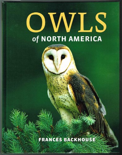 Imagen de archivo de Owls of North America a la venta por Books of the Smoky Mountains