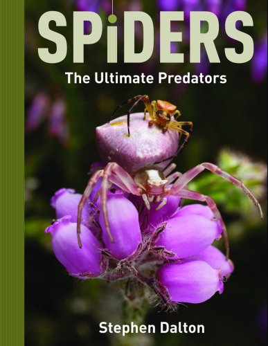 9781554073467: Spiders: The Ultimate Predators