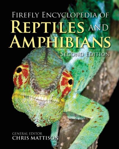 Stock image for Firefly Encyclopedia of Reptiles and Amphibians for sale by Jenson Books Inc