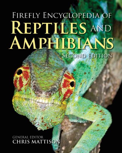 9781554073665: Firefly Encyclopedia of Reptiles and Amphibians