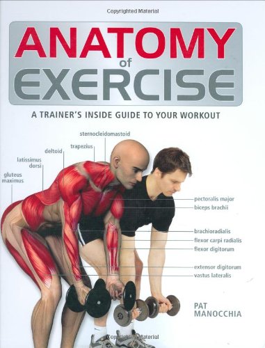 Imagen de archivo de Anatomy of Exercise: A Trainer's Inside Guide to Your Workout a la venta por ThriftBooks-Atlanta