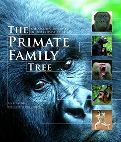 Stock image for The Primate Family Tree : The Amazing Diversity of Our Closest Relatives for sale by Better World Books