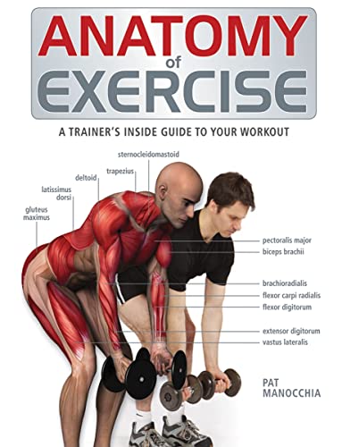 Beispielbild fr Anatomy of Exercise : A Trainer's Inside Guide to Your Workout zum Verkauf von Better World Books