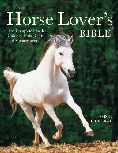 Imagen de archivo de The Horse Lover's Bible: The Complete Practical Guide to Horse Care and Management a la venta por ThriftBooks-Atlanta