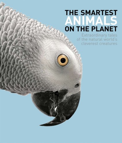 Stock image for The Smartest Animals on the Planet: Extraordinary Tales of the Natural World's Cleverest Creatures for sale by Ergodebooks