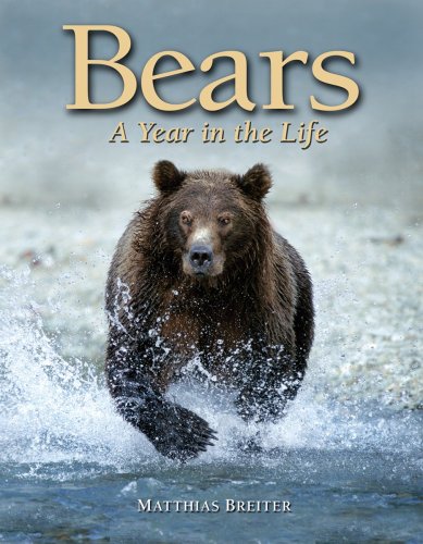 Imagen de archivo de Bears: A Year in the Life a la venta por Books of the Smoky Mountains