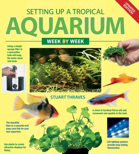 Stock image for Setting up a Tropical Aquarium Week by Week for sale by Better World Books: West