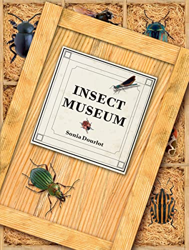 9781554074839: Insect Museum: Describing 114 Species of Insects and Other Arthropods, Including Their Natural History and Environment