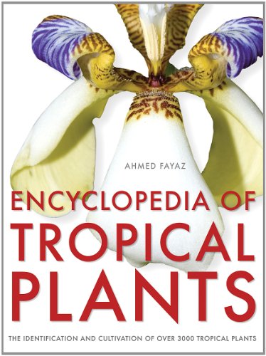 Imagen de archivo de Encyclopedia of Tropical Plants The Identification and Cultivation of over 3000 Tropical Plants a la venta por TextbookRush