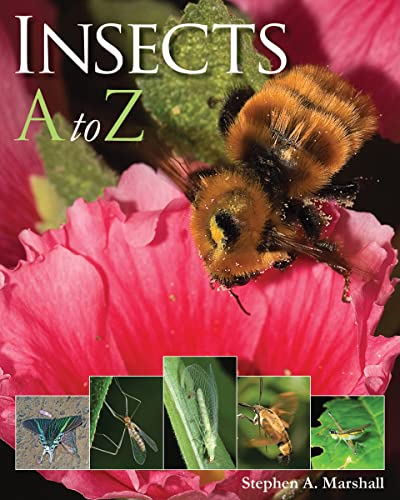 Stock image for Insects A to Z (A to Z (Firefly Books)) for sale by Book Outpost