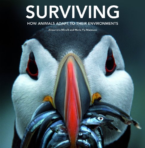 9781554075201: Surviving: How Animals Adapt to Their Environments