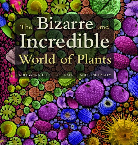 Imagen de archivo de The Bizarre and Incredible World of Plants a la venta por Irish Booksellers