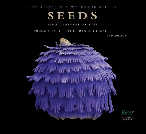 Imagen de archivo de Seeds: Time Capsules of Life a la venta por PAPER CAVALIER UK