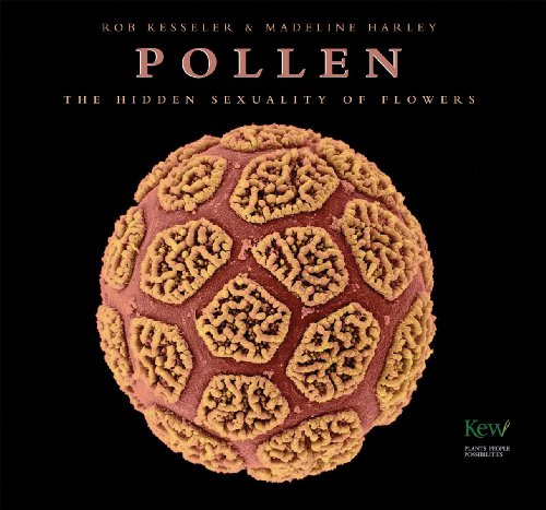 Imagen de archivo de Pollen: The Hidden Sexuality of FloweKesseler, Rob; Harley, Madeline a la venta por Iridium_Books