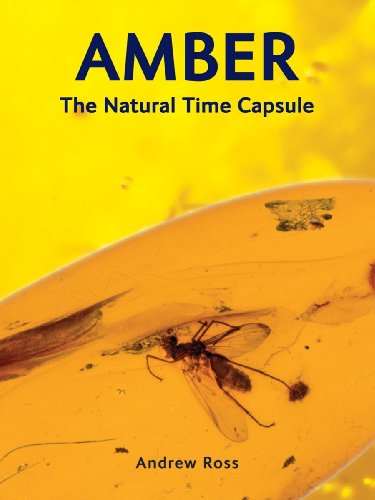 9781554076093: Amber: The Natural Time Capsule