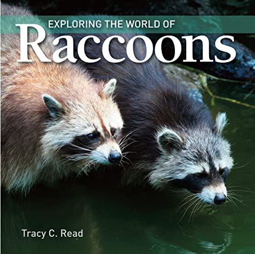 Stock image for Exploring the World of Raccoons for sale by HPB-Ruby