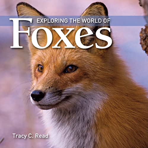 Beispielbild fr Exploring the World of Foxes zum Verkauf von SecondSale