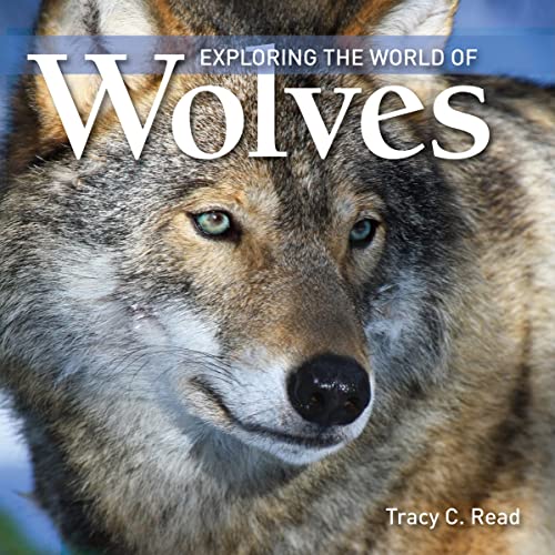 Beispielbild fr Exploring the World of Wolves zum Verkauf von Better World Books: West