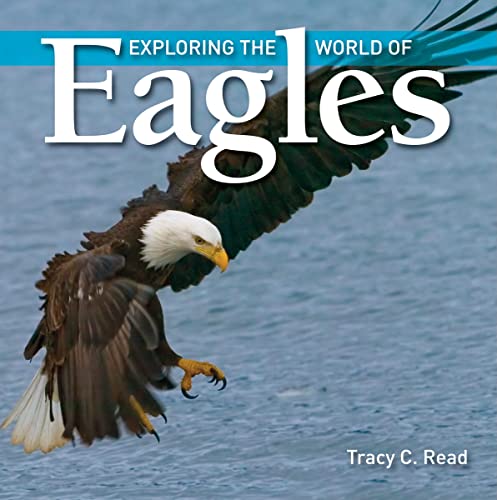 Imagen de archivo de Exploring the World of Eagles a la venta por Better World Books