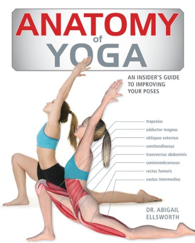 Imagen de archivo de Anatomy of Yoga: An Instructor's Inside Guide to Improving Your Poses a la venta por Dungeness Books, ABAA