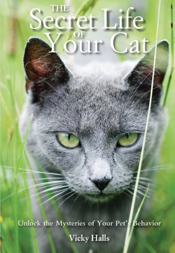 9781554077359: The Secret Life of your Cat: The visual guide to all your cat’s behaviour
