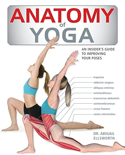 Imagen de archivo de Anatomy of Yoga: An Instructor's Inside Guide to Improving Your Poses a la venta por SecondSale