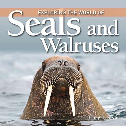 Stock image for Exploring the World of Seals and Walruses for sale by Better World Books: West