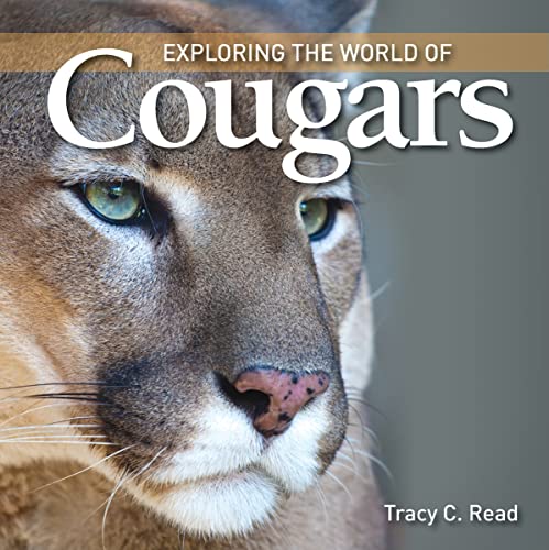 Imagen de archivo de Exploring the World of Cougars a la venta por Book Outpost