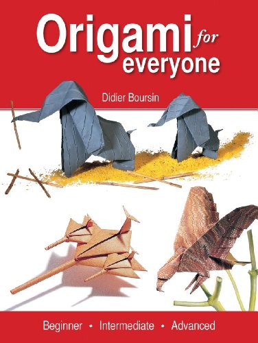 9781554077922: Origami for Everyone: Beginner - Intermediate - Advanced