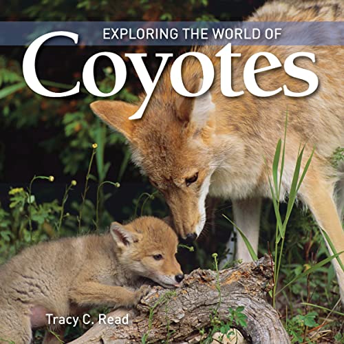 Beispielbild fr Exploring the World of Coyotes zum Verkauf von Better World Books: West