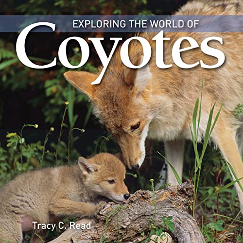 Imagen de archivo de Exploring the World of Coyotes a la venta por Better World Books: West