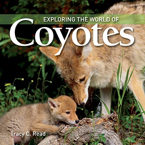 Beispielbild fr Exploring the World of Coyotes zum Verkauf von SecondSale