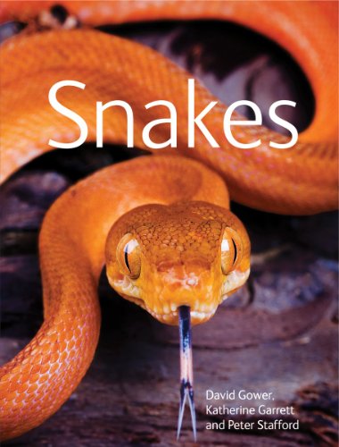 Snakes (9781554078028) by Gower, David; Garrett, Katherine; Stafford, Peter