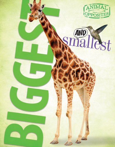 Imagen de archivo de Biggest and Smallest a la venta por Better World Books: West