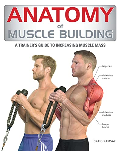 Beispielbild fr Anatomy of Muscle Building: A Trainers Guide to Increasing Muscle Mass zum Verkauf von Zoom Books Company