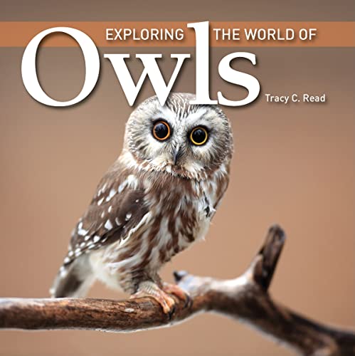 Beispielbild fr Exploring the World of Owls zum Verkauf von Better World Books: West