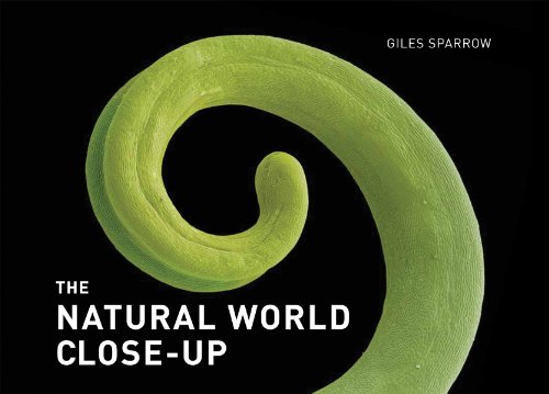 9781554079247: The Natural World Close-Up