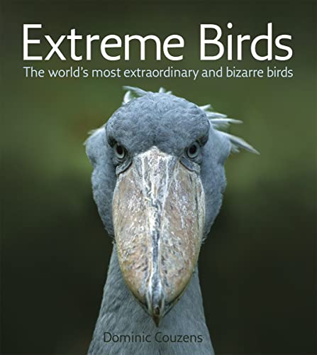 Imagen de archivo de Extreme Birds: The World's Most Extraordinary and Bizarre Birds a la venta por ZBK Books