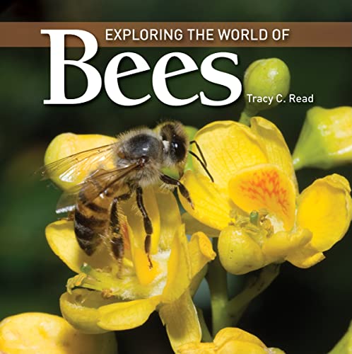 Beispielbild fr Exploring the World of Bees zum Verkauf von Better World Books