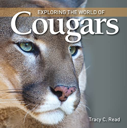 Stock image for Exploring the World of Cougars for sale by Book Outpost