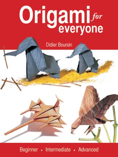 9781554079582: Origami for Everyone: Beginner - Intermediate - Advanced