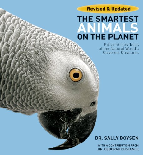 Stock image for The Smartest Animals on the Planet : Extraordinary Tales of the Natural World's Cleverest Creatures for sale by Better World Books