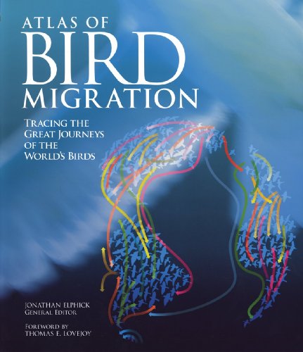 Beispielbild fr Atlas of Bird Migration : Tracing the Great Journeys of the World's Birds zum Verkauf von Better World Books