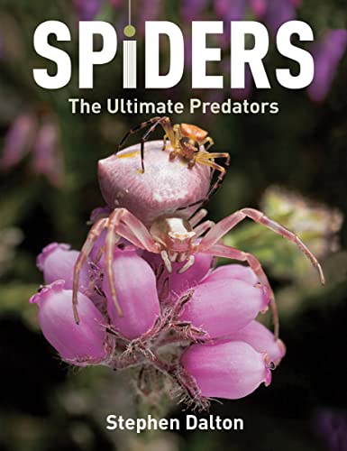 Beispielbild fr Spiders : The Ultimate Predators zum Verkauf von Better World Books